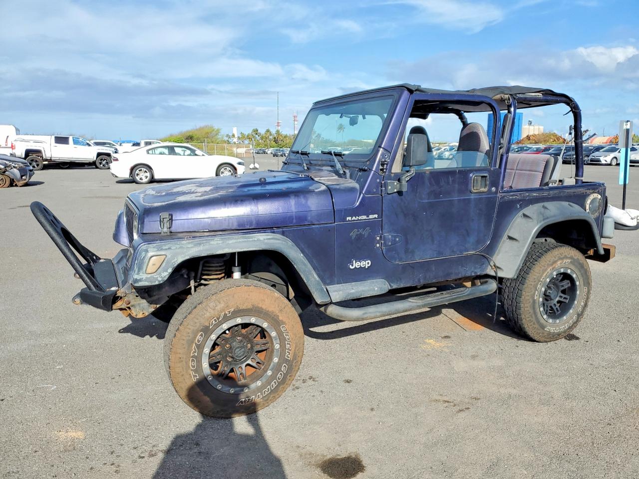 1998 Jeep Wrangler / Tj Se Purple vin: 1J4FY29P1WP764125