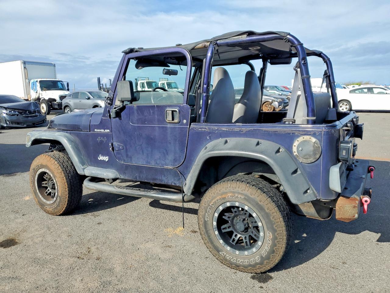 1998 Jeep Wrangler / Tj Se Purple vin: 1J4FY29P1WP764125