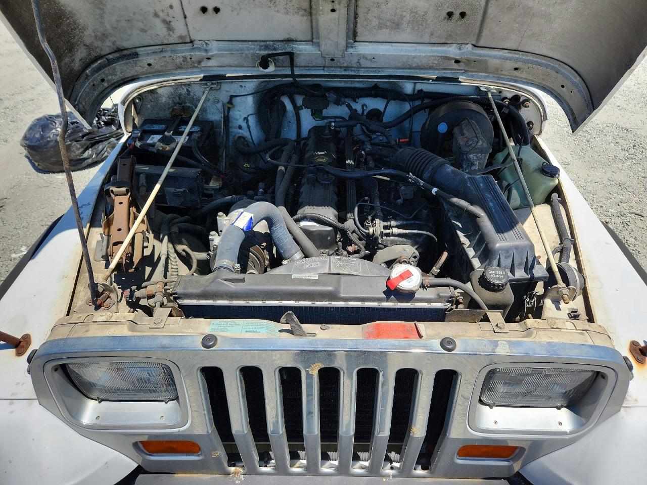 1994 Jeep Wrangler / Yj Se Белый vin: 1J4FY29S6RP446106