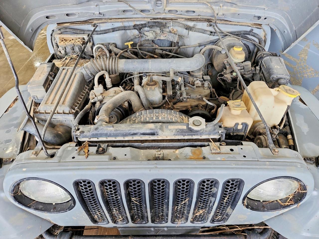1999 Jeep Wrangler / Tj Sahara Gray vin: 1J4FY49S9XP448246