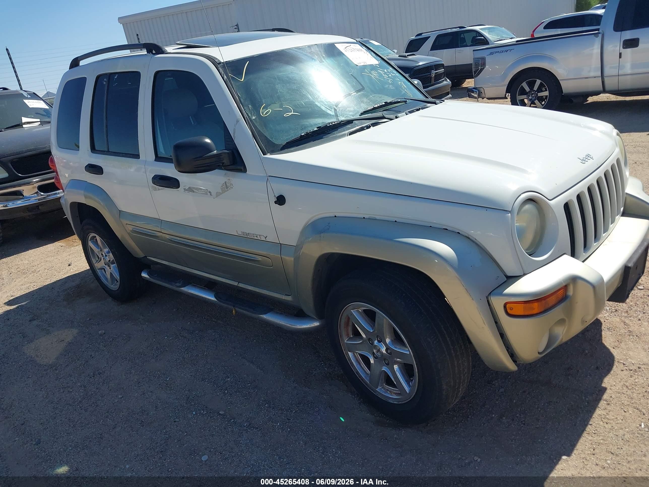 2004 Jeep Liberty Limited Edition Белый vin: 1J4GK58KX4W111602