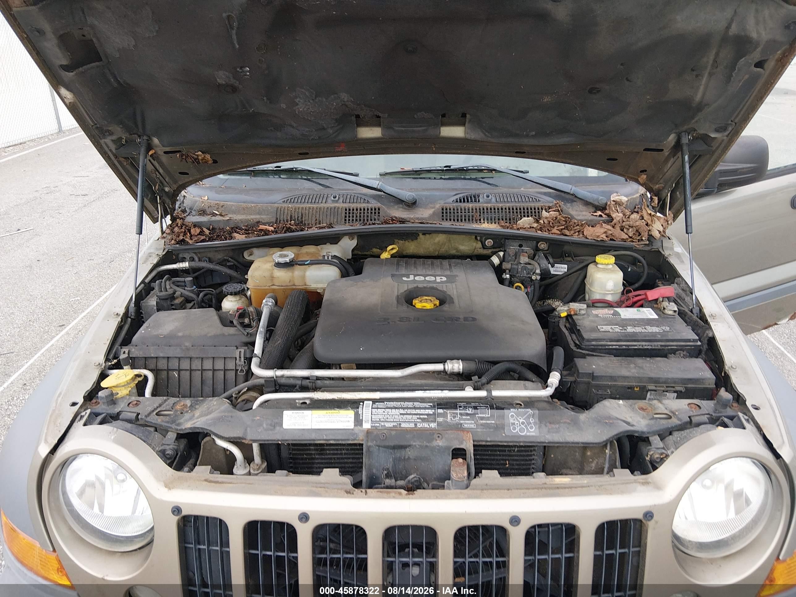 2005 Jeep Liberty Sport Желто-коричневый vin: 1J4GL48565W655758