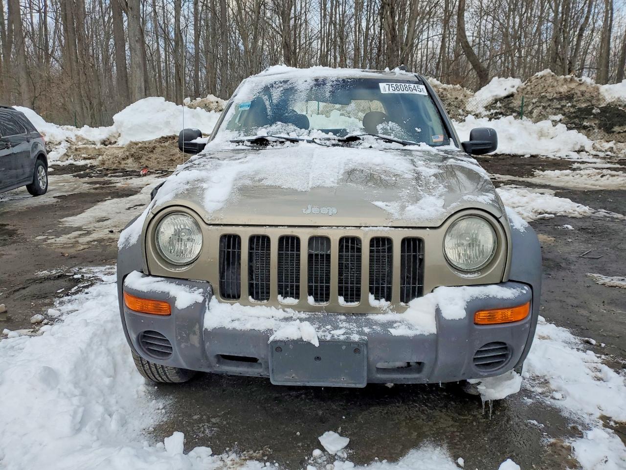 2004 Jeep Liberty Sport Gray vin: 1J4GL48K84W247699