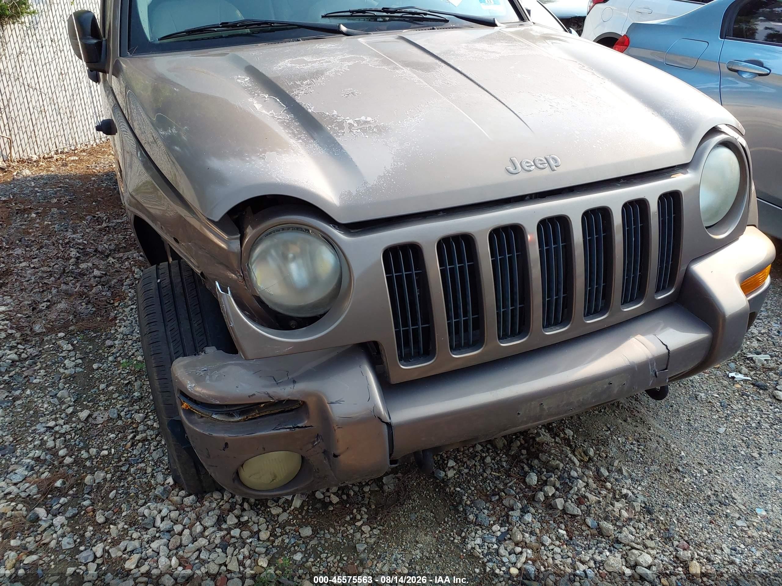 2002 Jeep Liberty Limited Edition Beige vin: 1J4GL58K52W236016