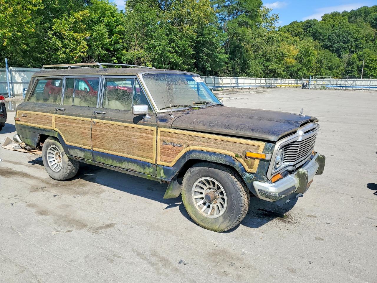1989 Jeep Grand Wagoneer Двухцветный vin: 1J4GS5878KP108622