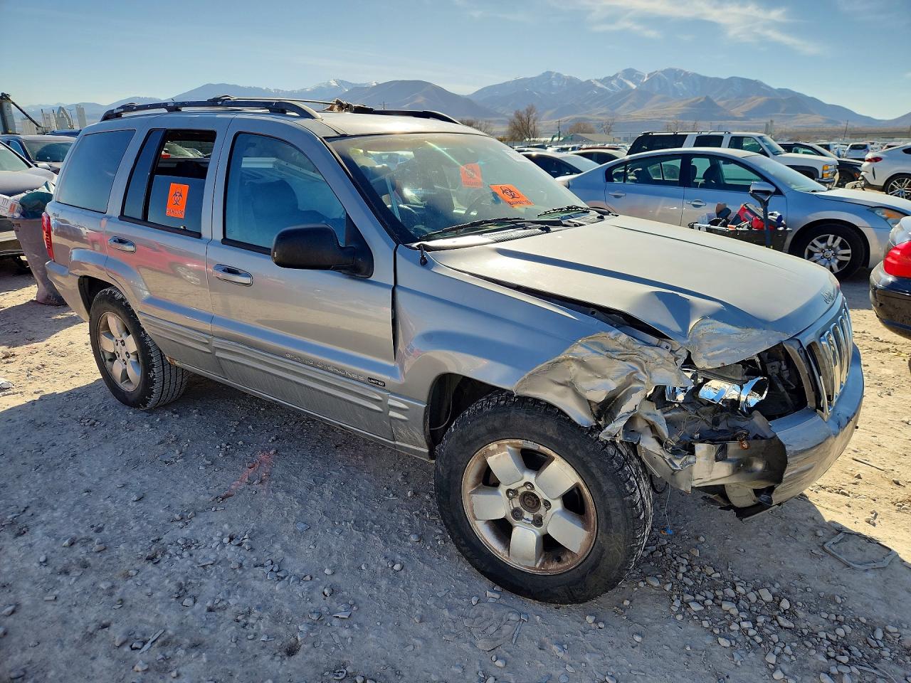 2001 Jeep Grand Cherokee Limited Серый vin: 1J4GW58N01C674475