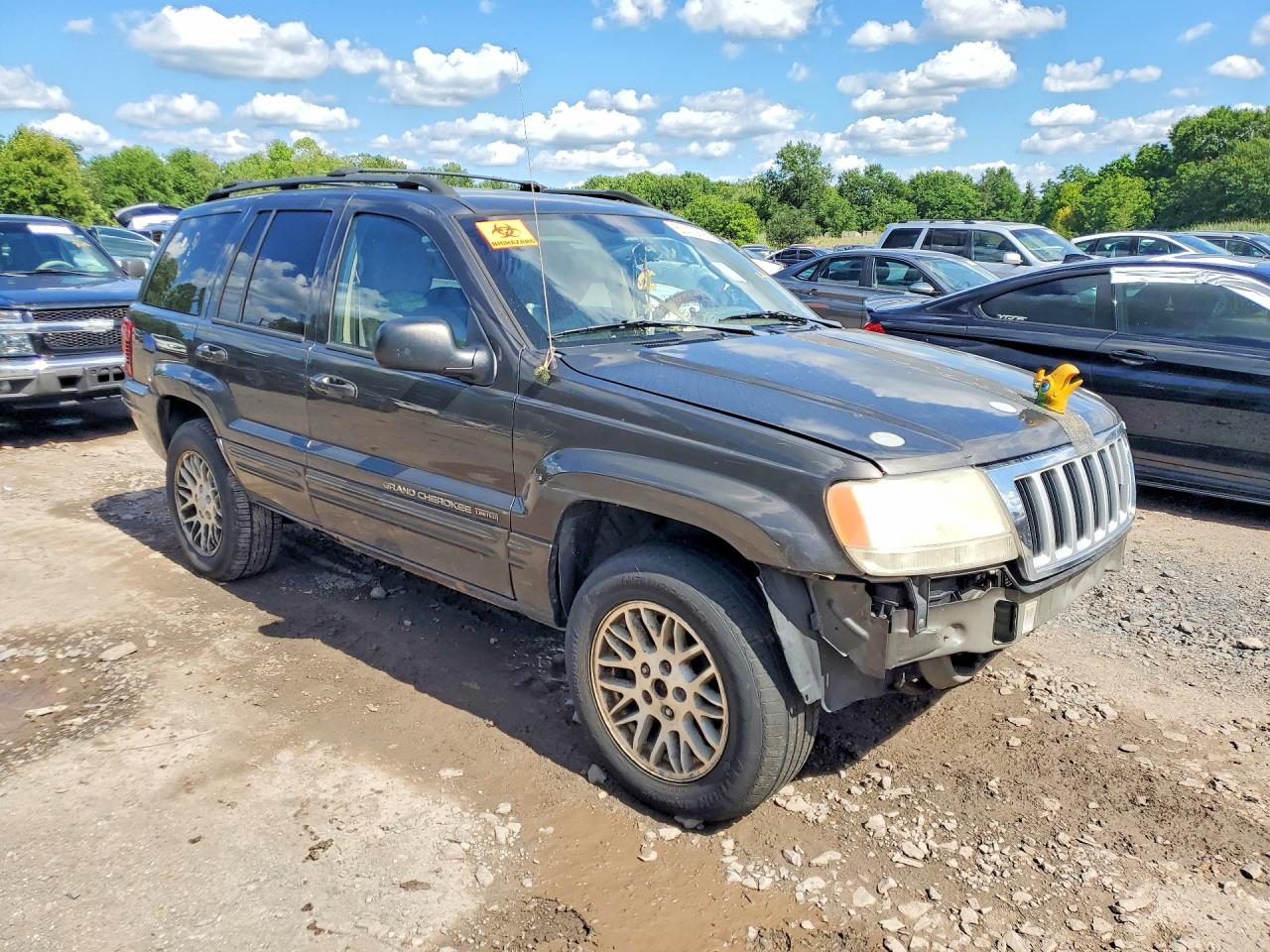 2004 Jeep Grand Cherokee Limited Серый vin: 1J4GW58N34C372005