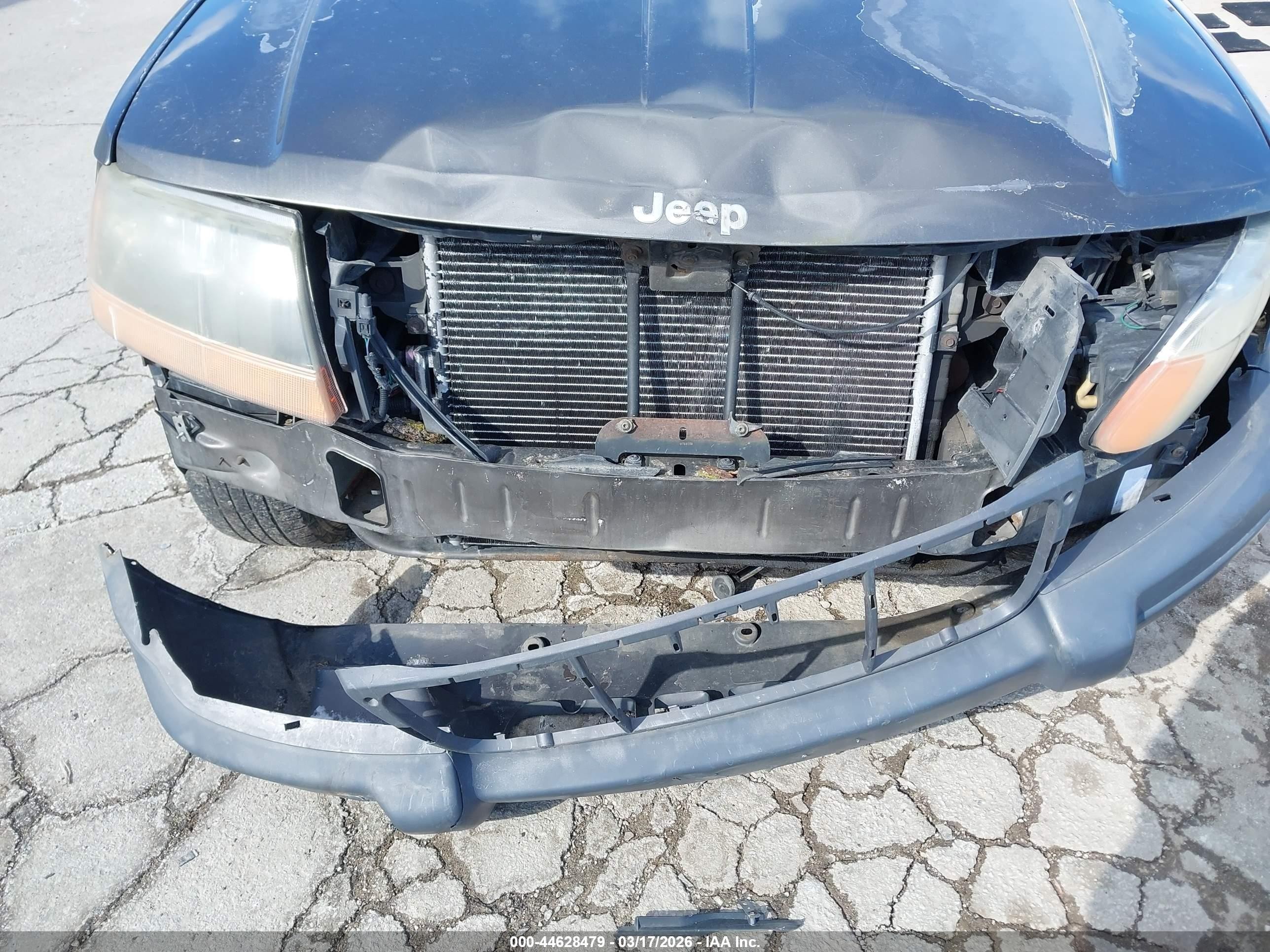 1999 Jeep Grand Cherokee Laredo Серый vin: 1J4GW58SXXC609972