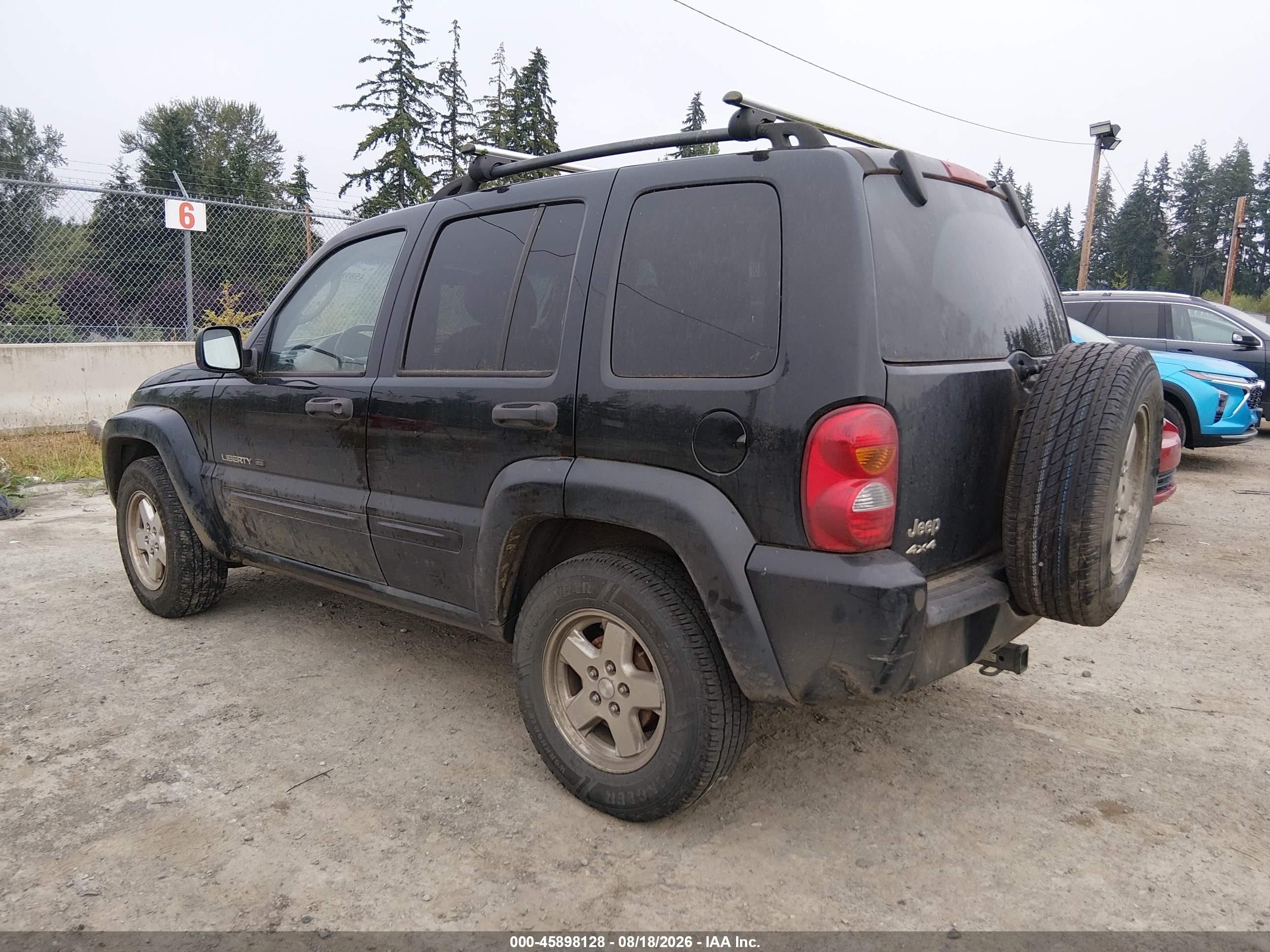 2002 Jeep Liberty Limited Edition Black vin: 1J8GL58K82W365138
