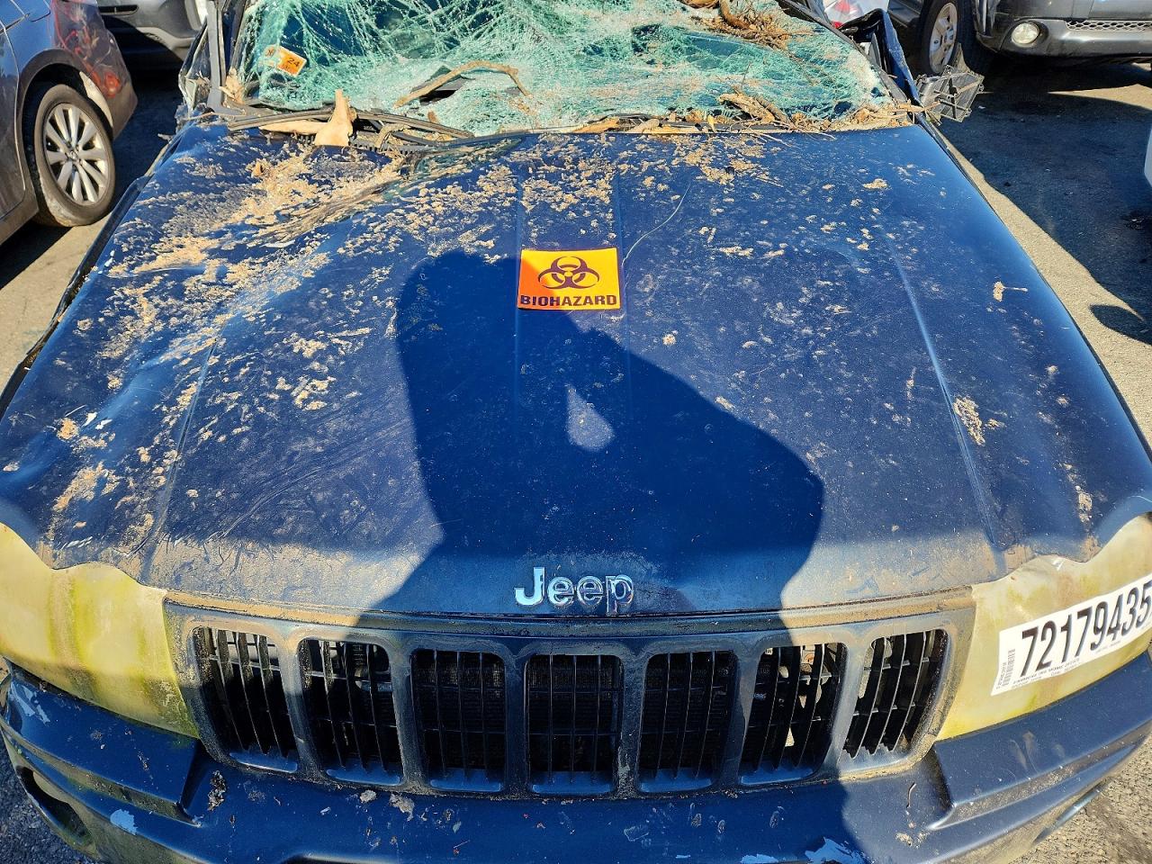 2007 Jeep Grand Cherokee Laredo Blue vin: 1J8GR48K27C652444
