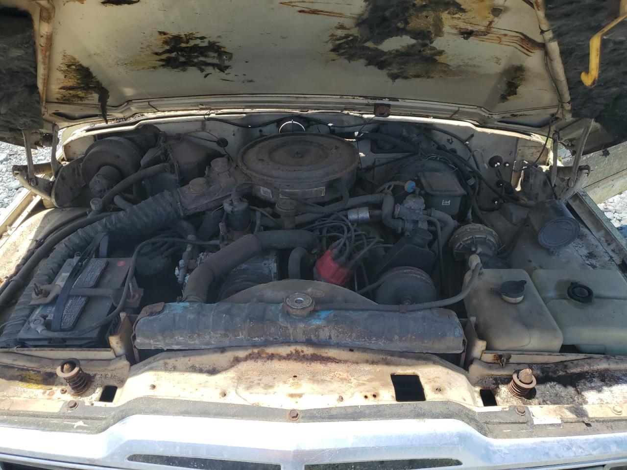 1988 Jeep Grand Wagoneer    Cream vin: 1JCNJ15U3JT159548