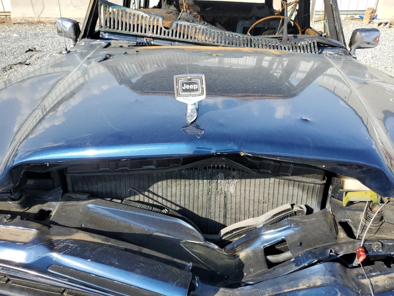 1987 Jeep Grand Wagoneer    Двухцветный vin: 1JCNJ15U9HT036749