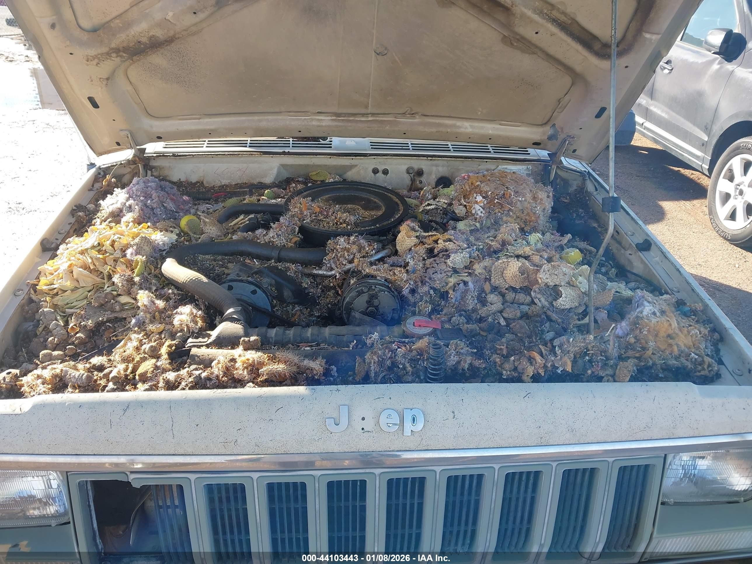 1984 Jeep Cherokee   Beige vin: 1JCWL7815ET090614