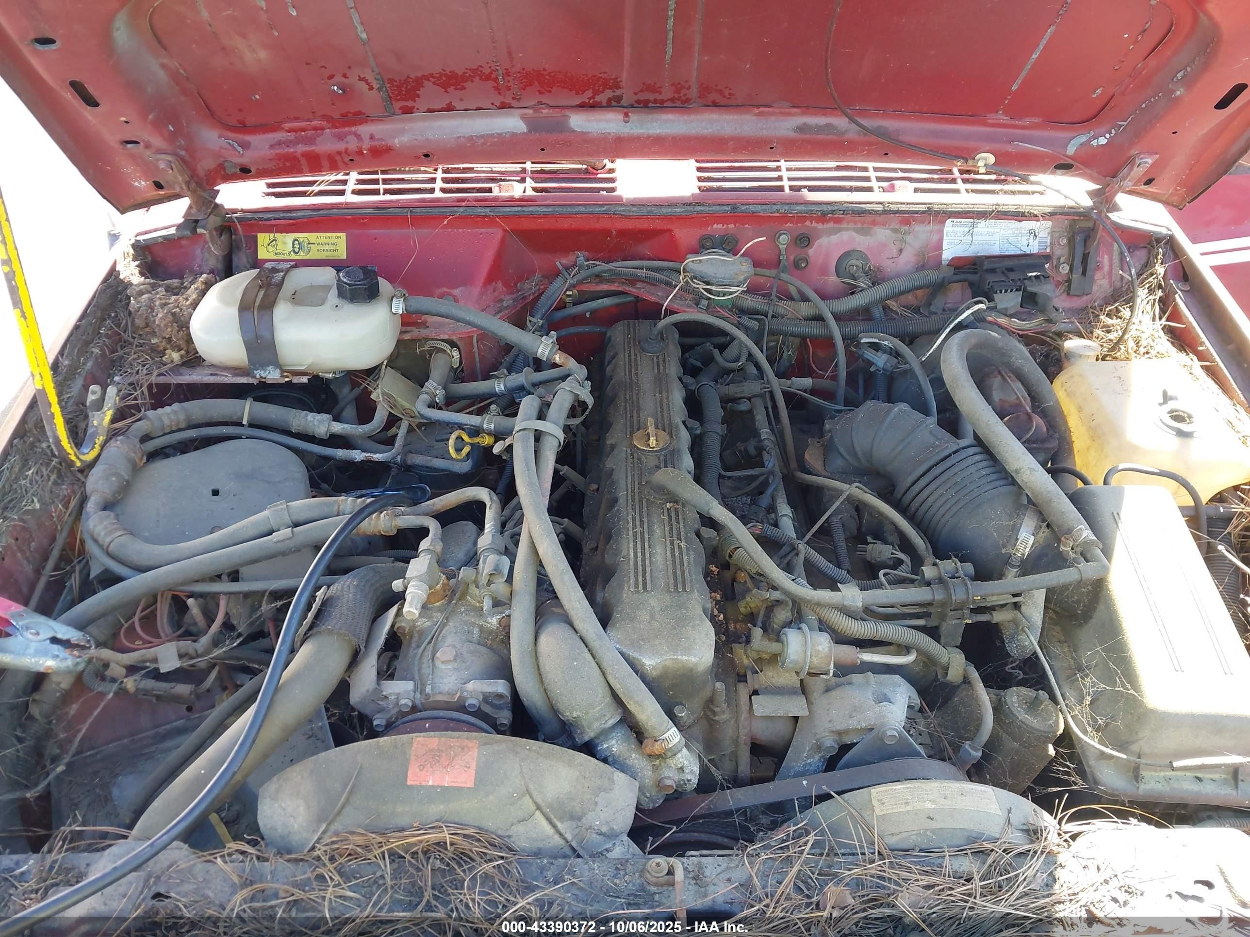 1988 Jeep Comanche Pioneer Red vin: 1JTMW64P4JT256005