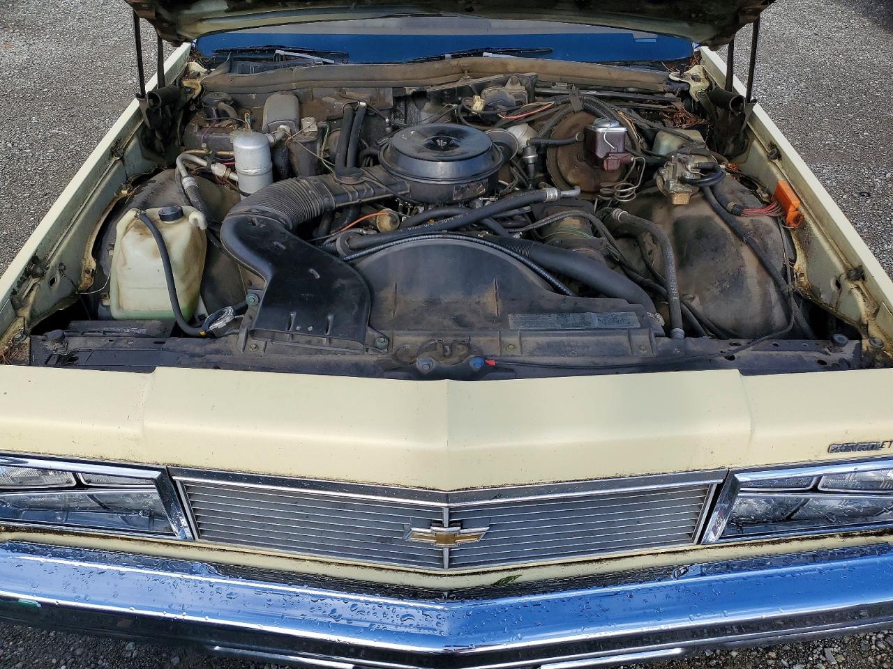 1979 Chev Impala Желтый vin: 1L69G9C116557