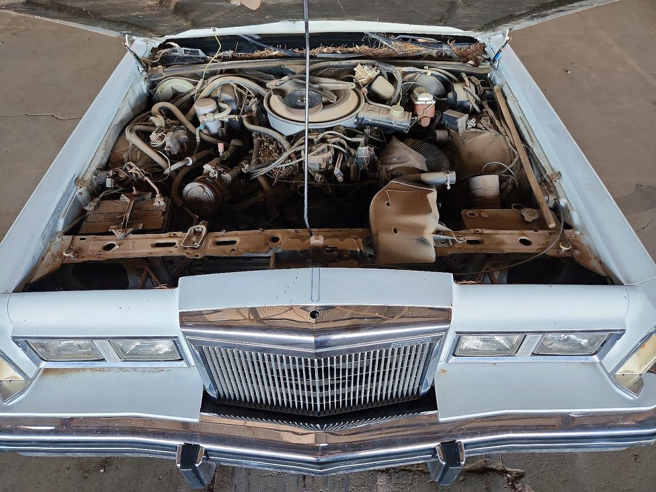 1984 Lincoln Town Car White vin: 1LNBP96F5EY751619