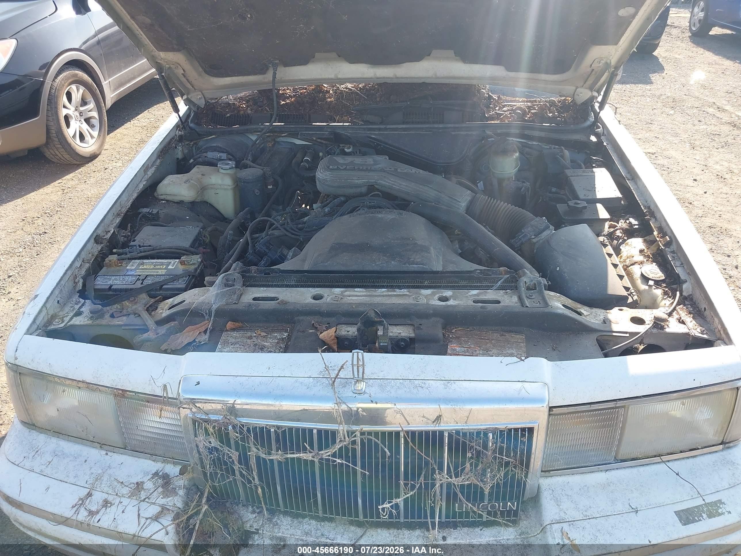 1991 Lincoln Town Car Executive Белый vin: 1LNCM81W1MY737133