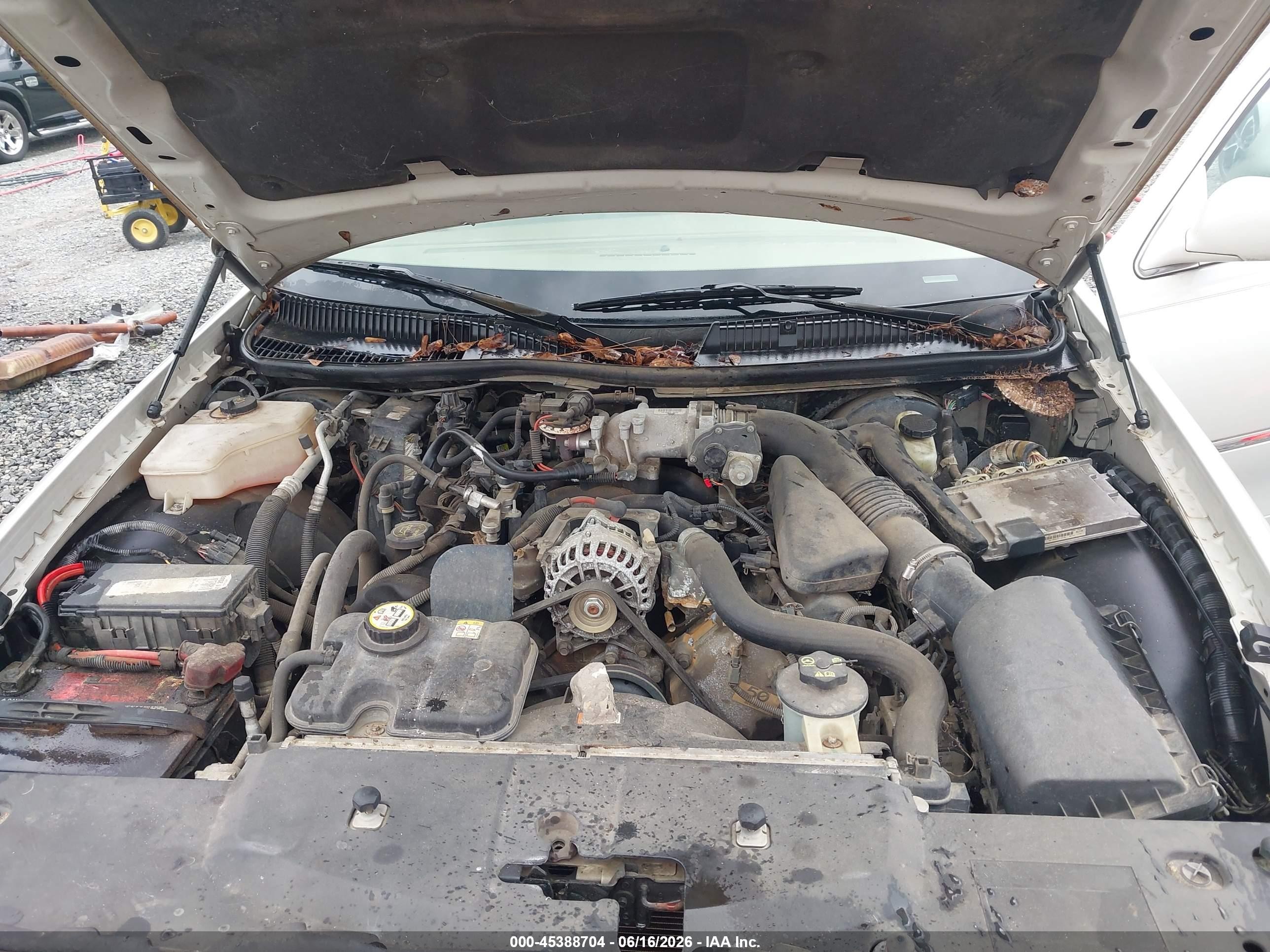 2007 Lincoln Town Car   Cream vin: 1LNHM82V37Y620055