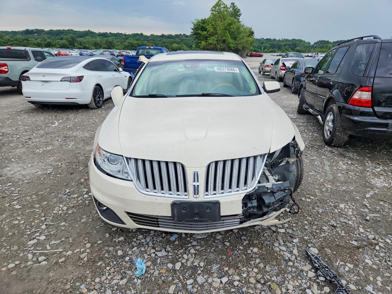2009 Lincoln Mks White vin: 1LNHM93R39G627149