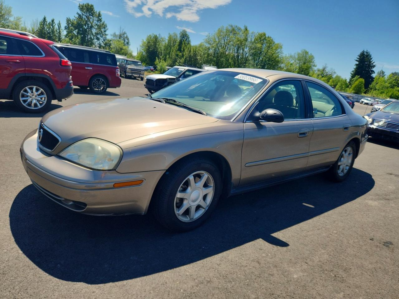1MEFM50293A619609