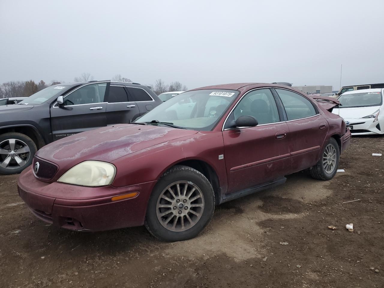 1MEHM55S94A625137