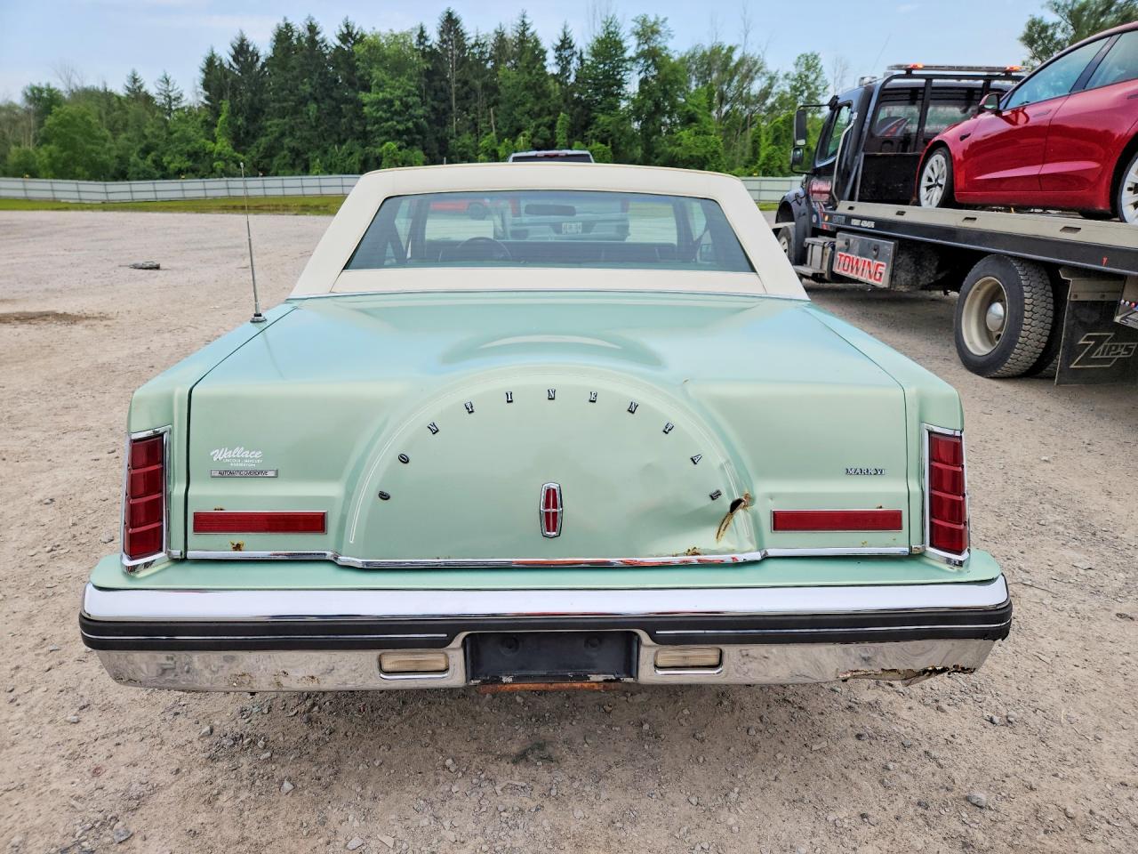 1981 Lincoln Mark Vi Green vin: 1MRBP95F8BY665459