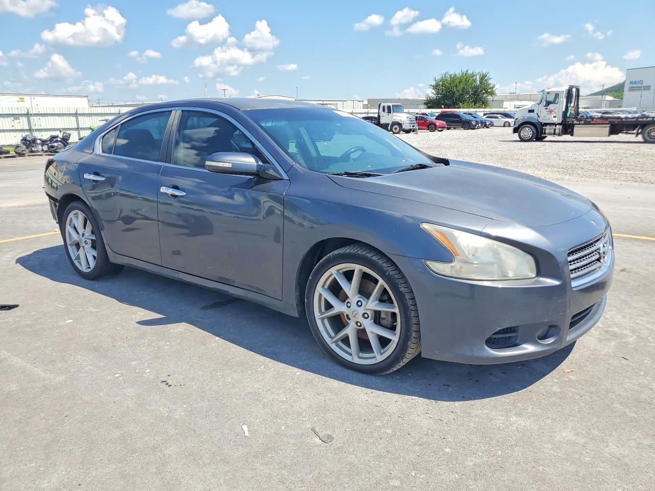 2009 Nissan Maxima S/sv Серый vin: 1N4AA51E09C814210
