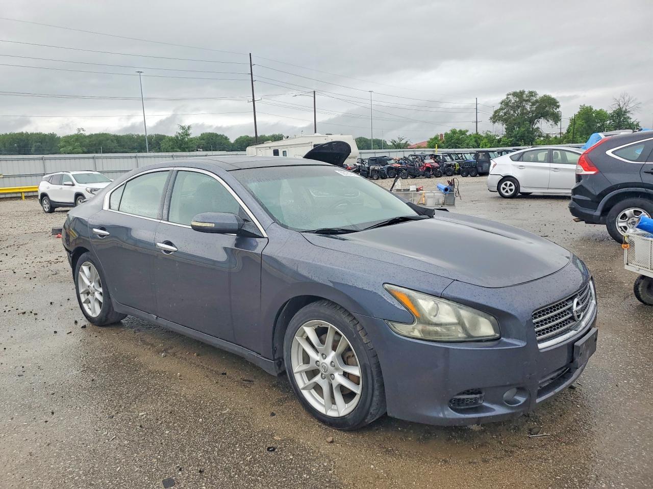 2009 Nissan Maxima 3.5 S Серый vin: 1N4AA51E09C814546