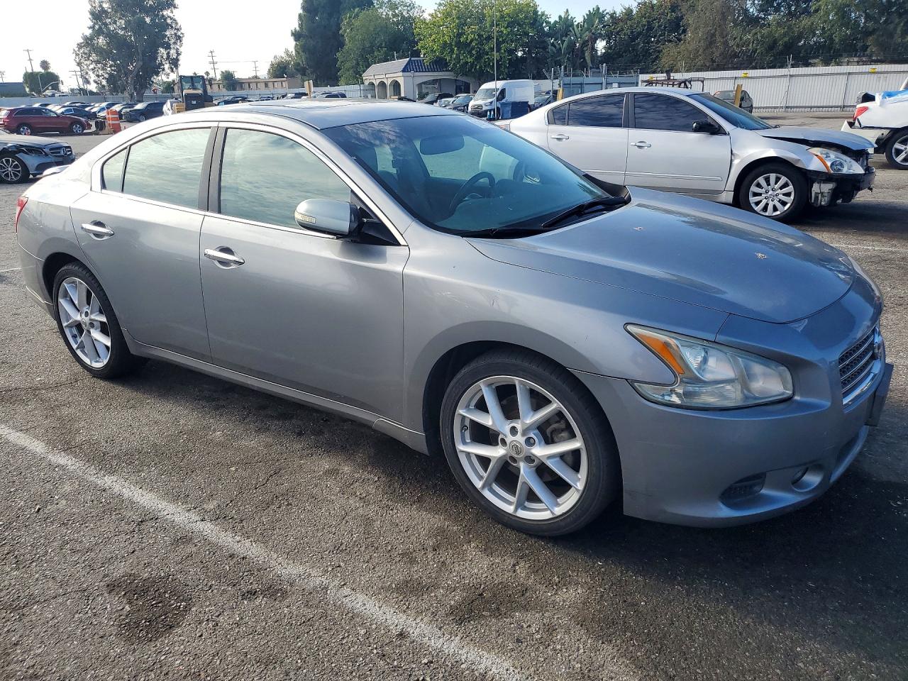 2009 Nissan Maxima 3.5 S Серый vin: 1N4AA51E09C824669