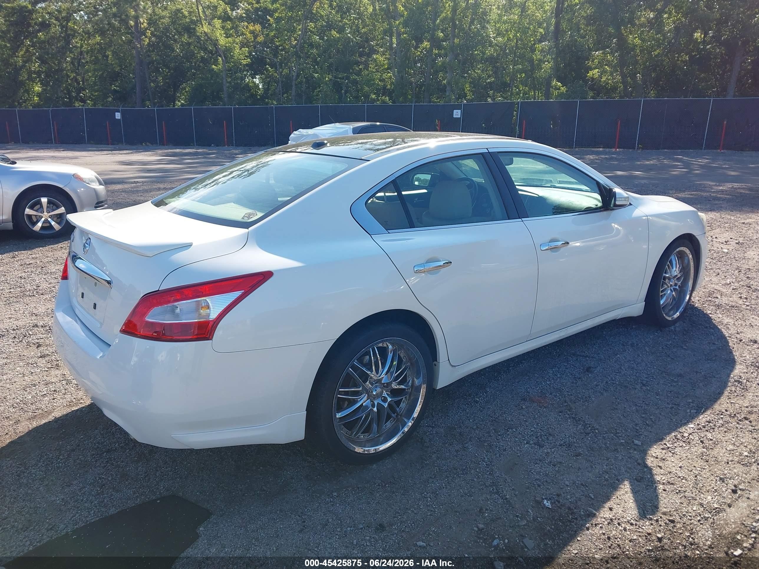 2009 Nissan Maxima 3.5 Sv Белый vin: 1N4AA51E09C830259