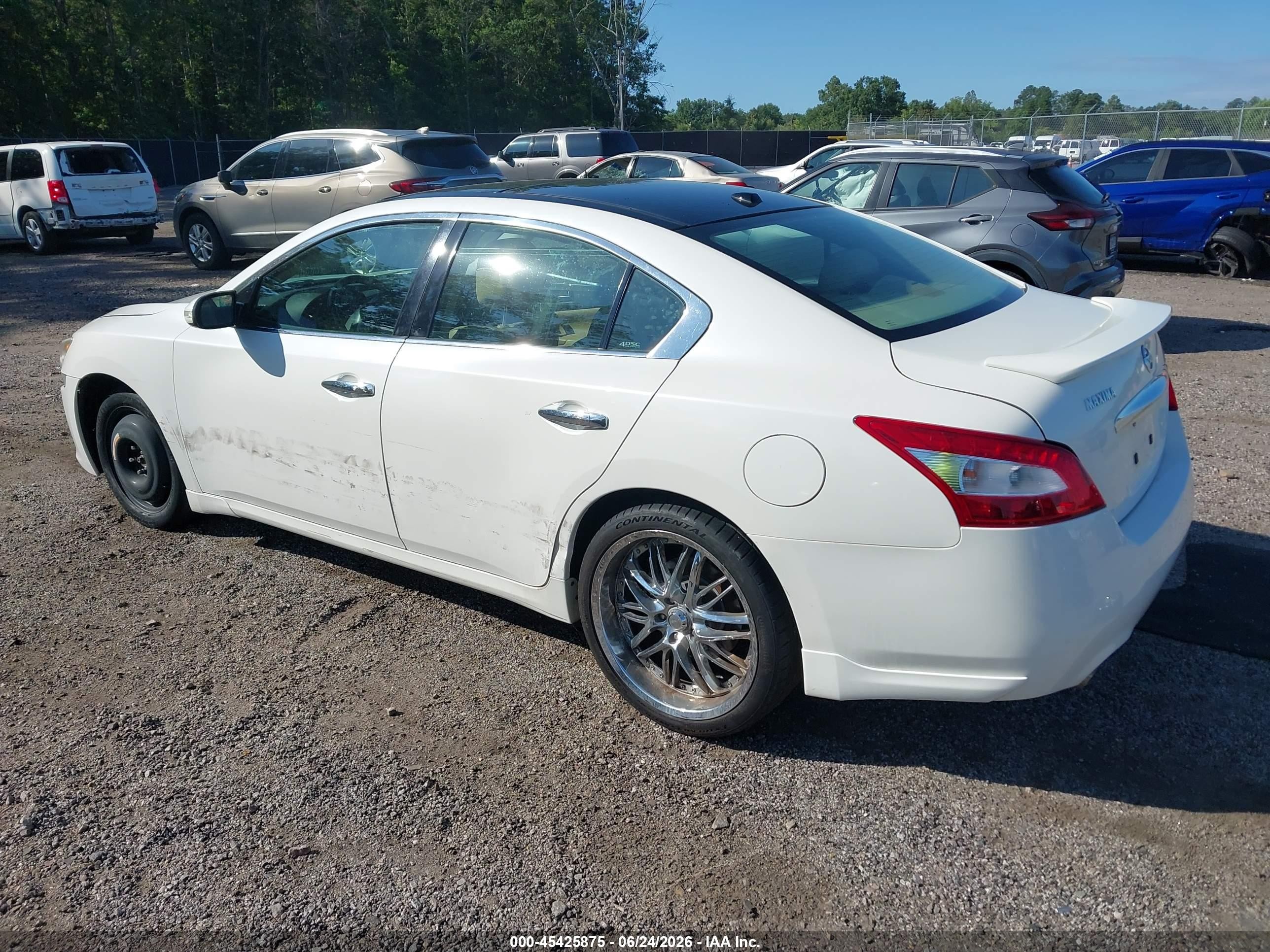 2009 Nissan Maxima 3.5 Sv Белый vin: 1N4AA51E09C830259