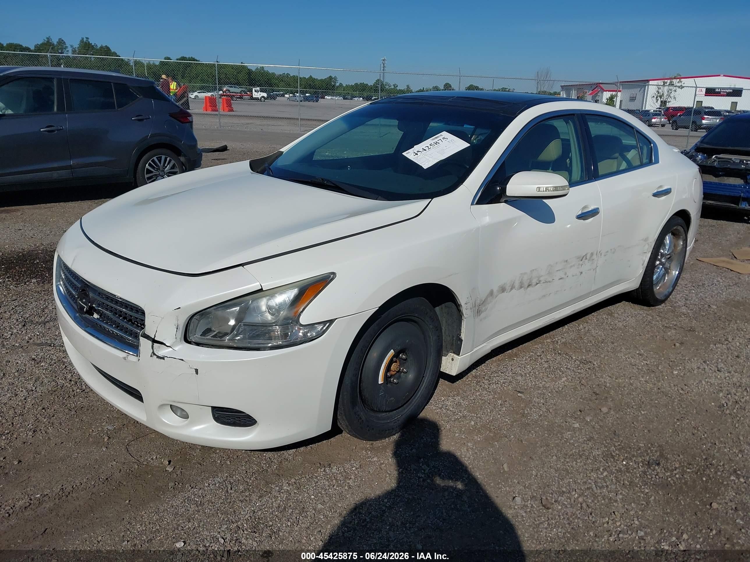 2009 Nissan Maxima 3.5 Sv Белый vin: 1N4AA51E09C830259