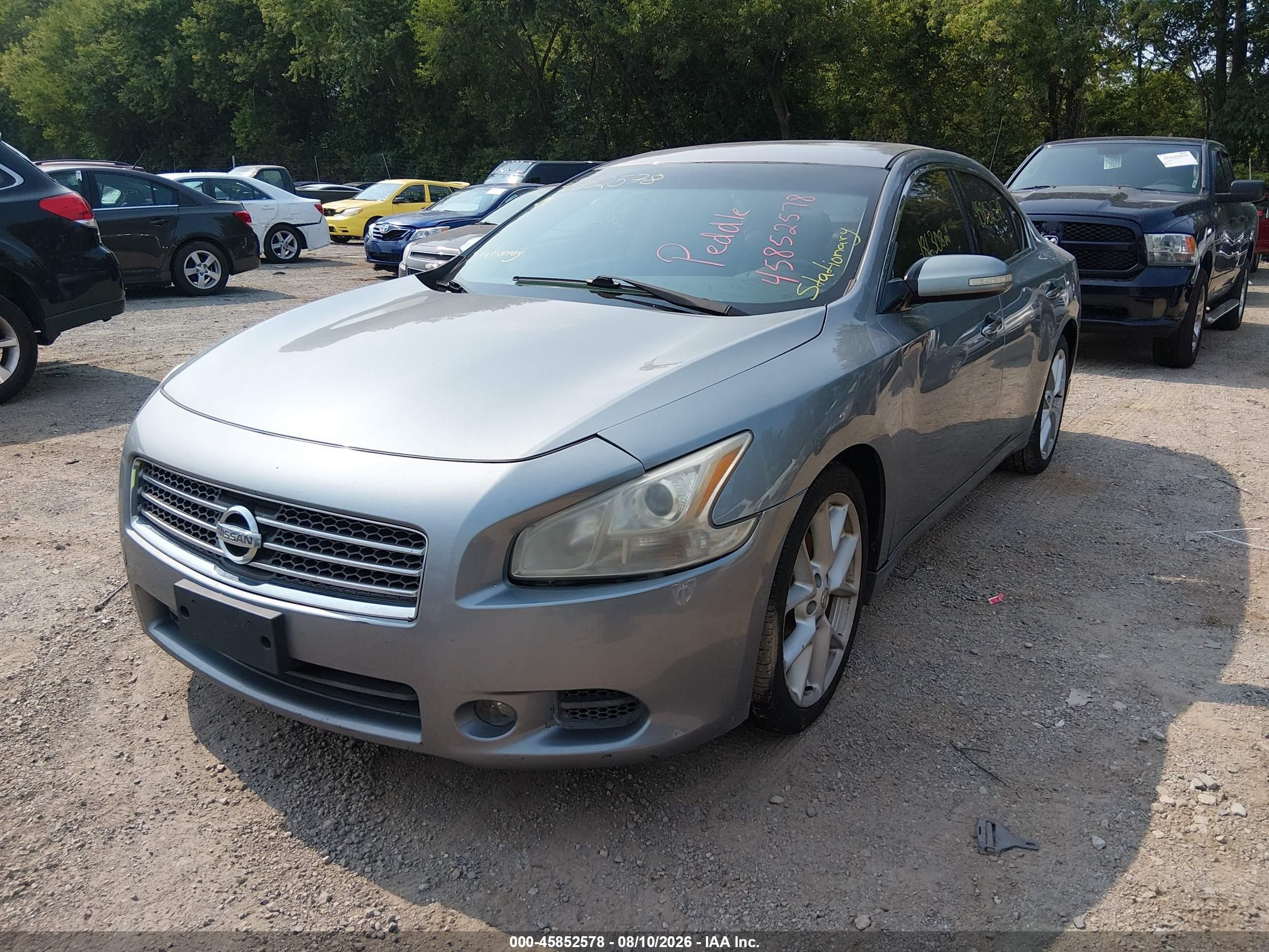 2009 Nissan Maxima 3.5 Sv Gray vin: 1N4AA51E09C846185