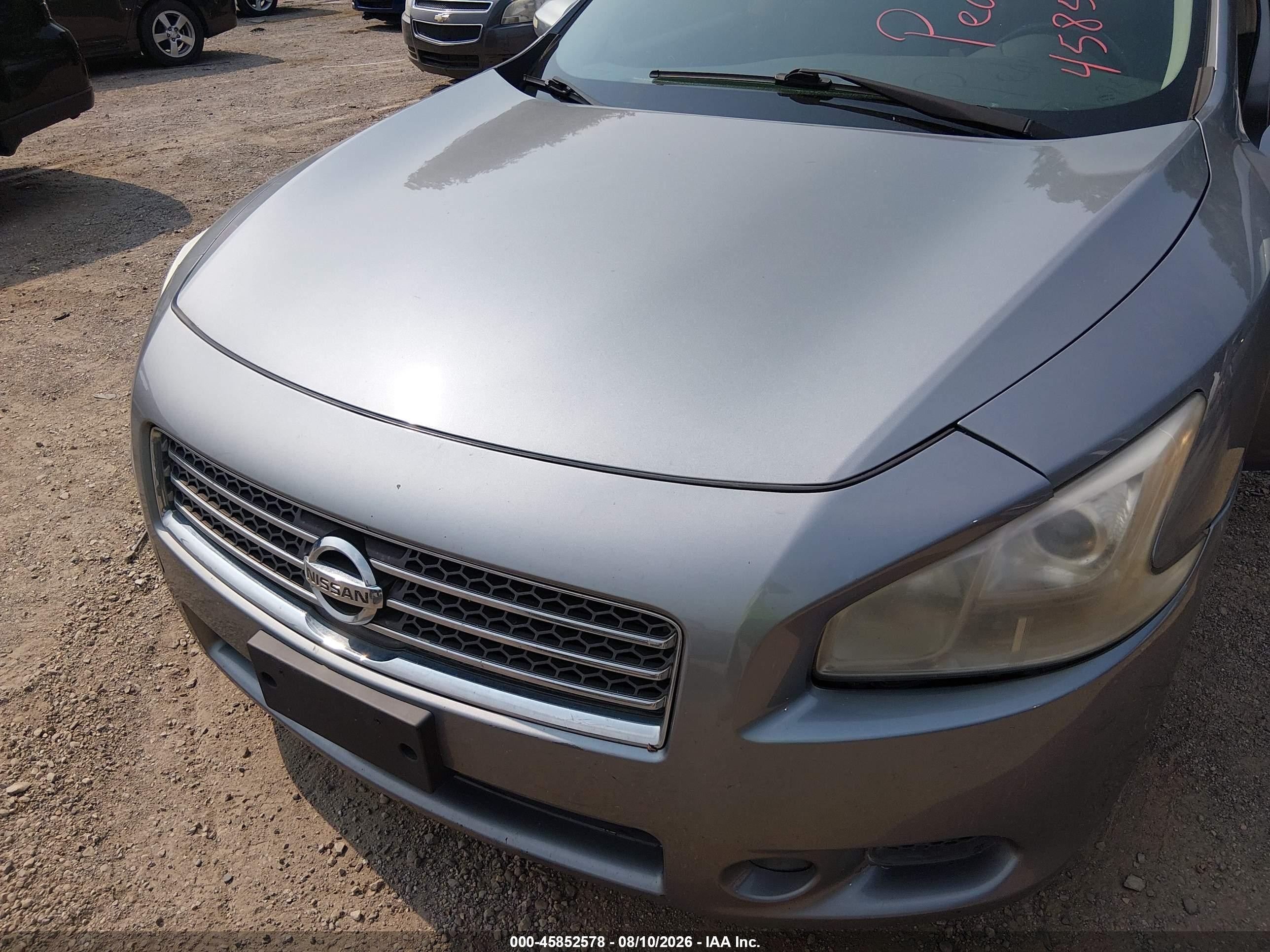 2009 Nissan Maxima 3.5 Sv Gray vin: 1N4AA51E09C846185