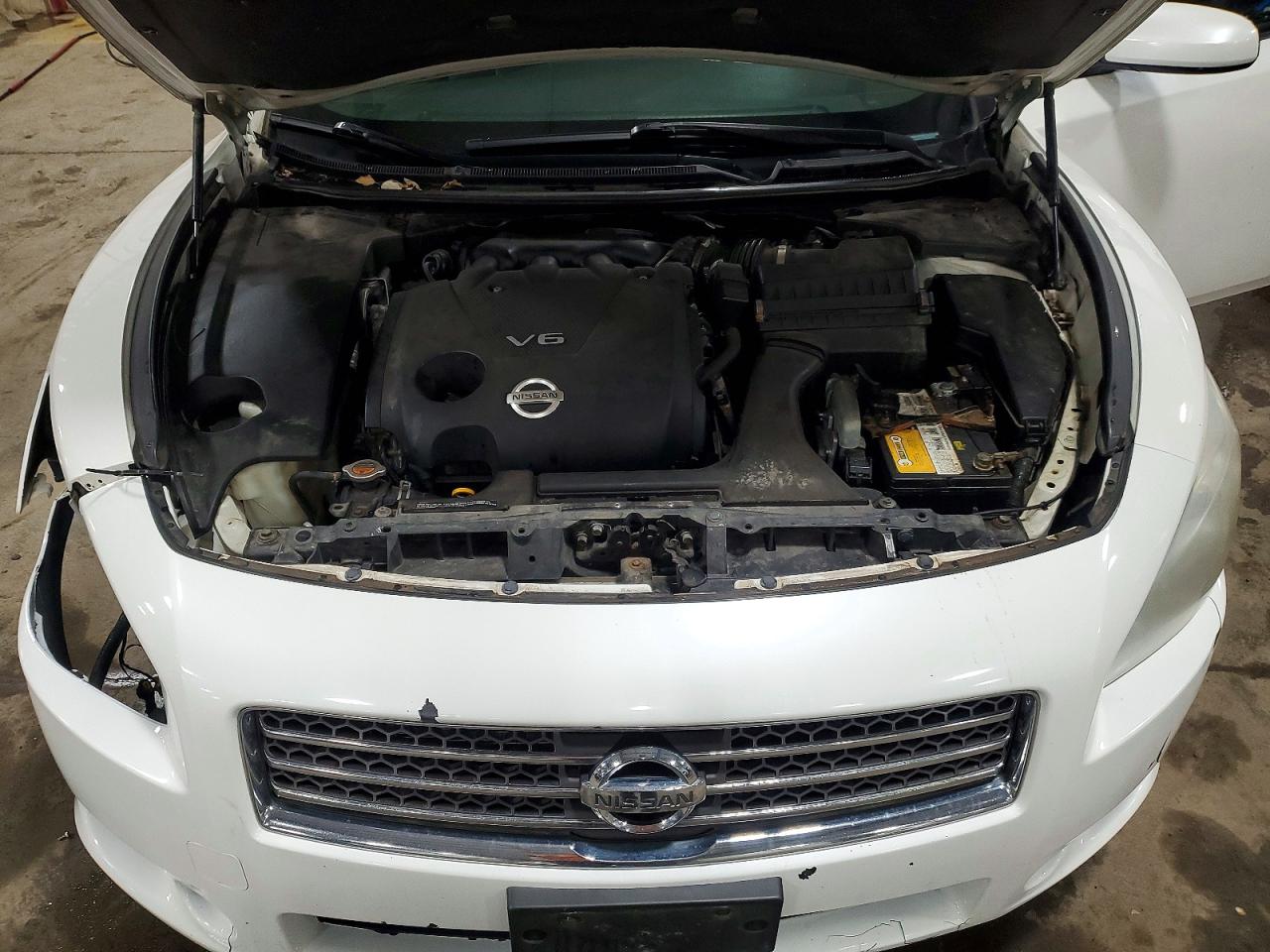 2009 Nissan Maxima Белый vin: 1N4AA51E09C855078