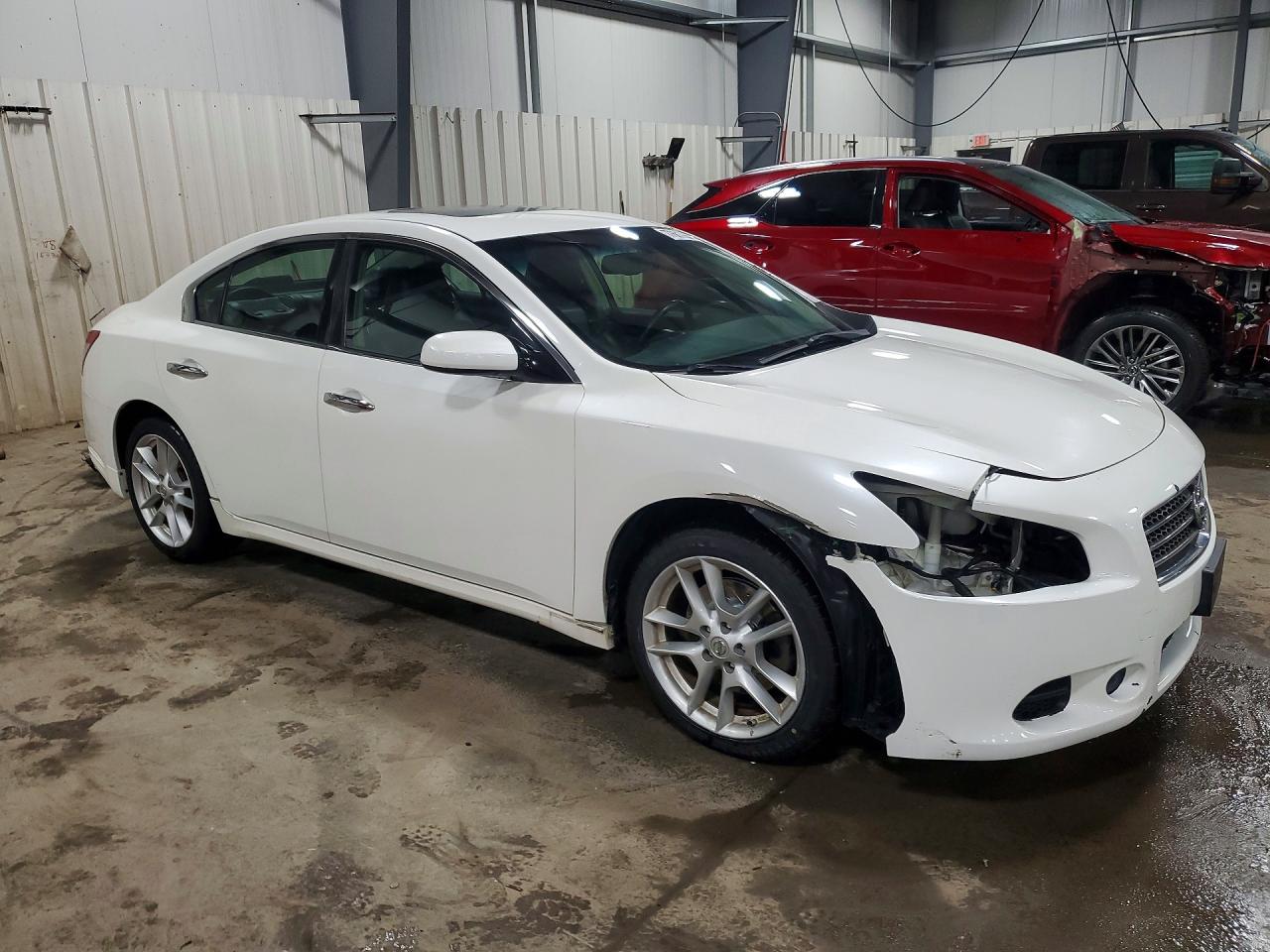 2009 Nissan Maxima Белый vin: 1N4AA51E09C855078