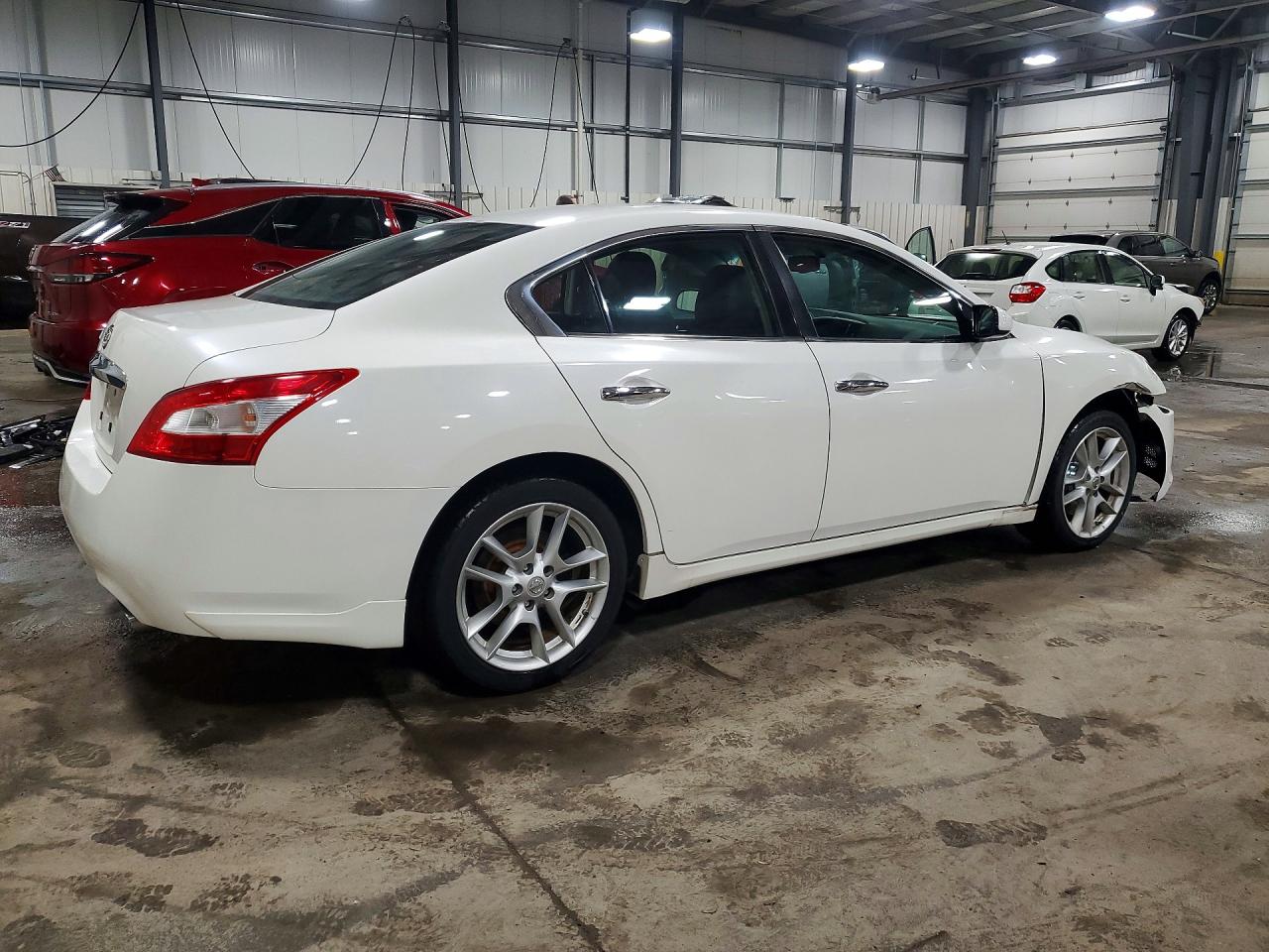 2009 Nissan Maxima Белый vin: 1N4AA51E09C855078