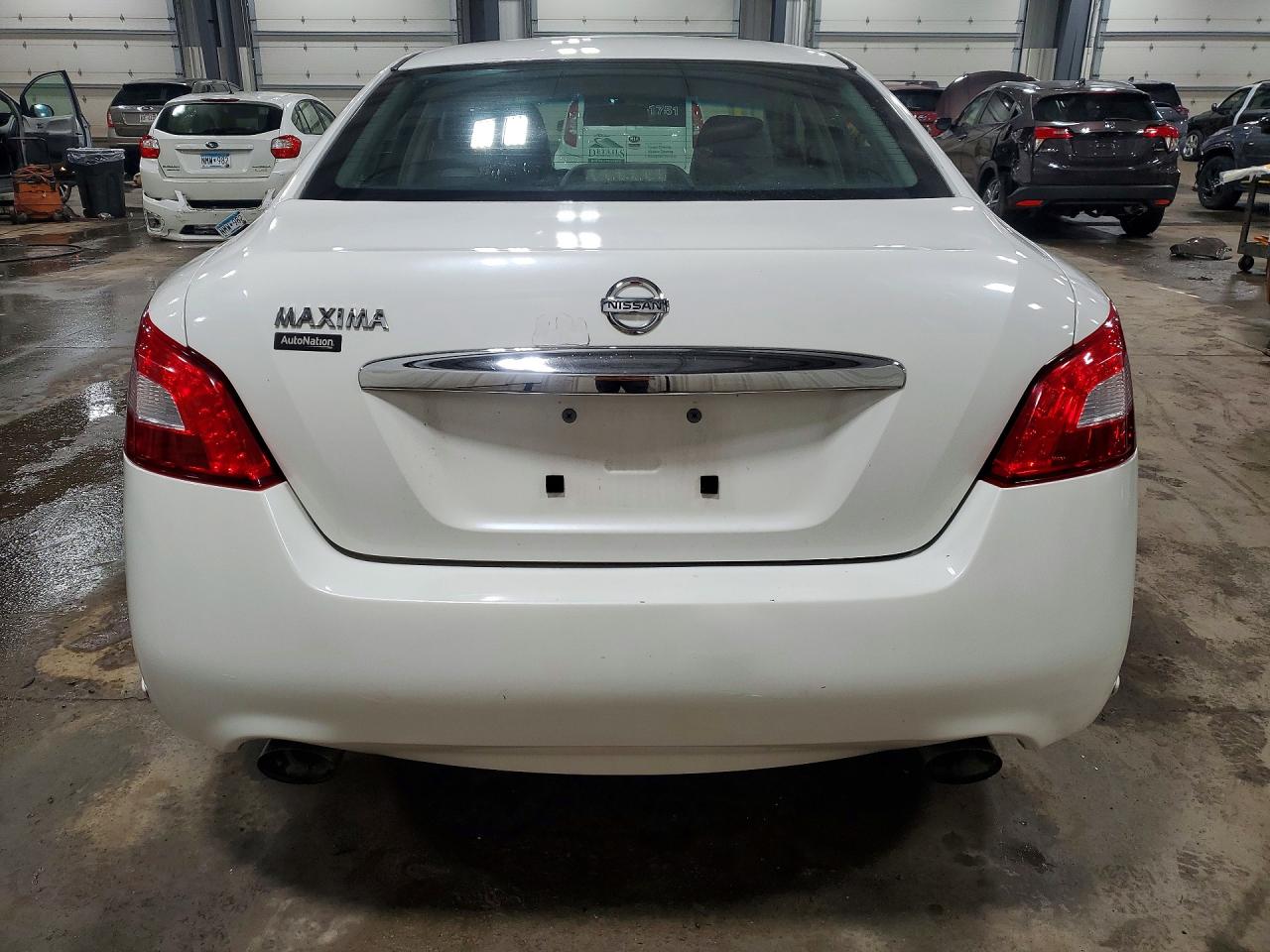2009 Nissan Maxima Белый vin: 1N4AA51E09C855078
