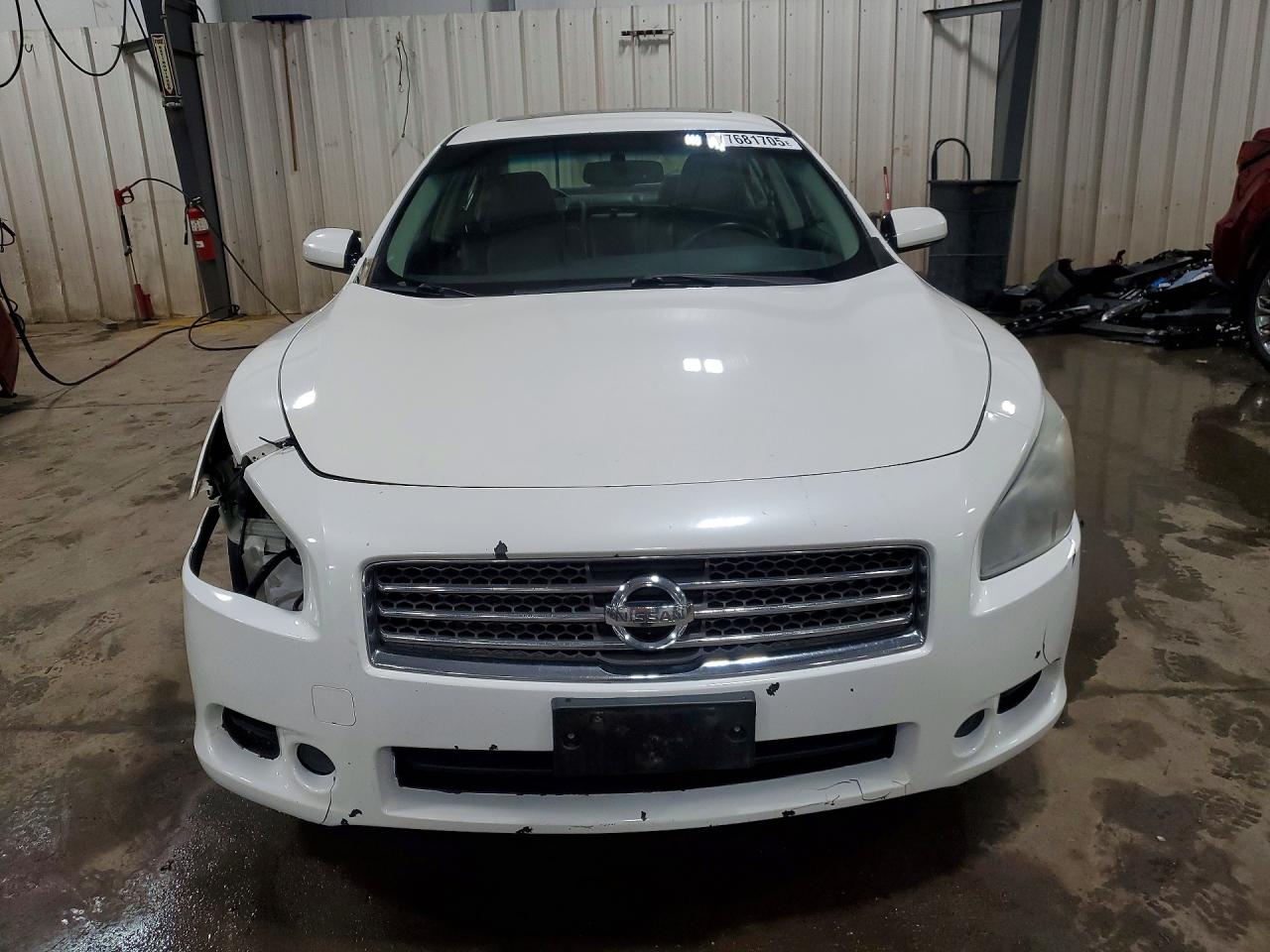 2009 Nissan Maxima Белый vin: 1N4AA51E09C855078