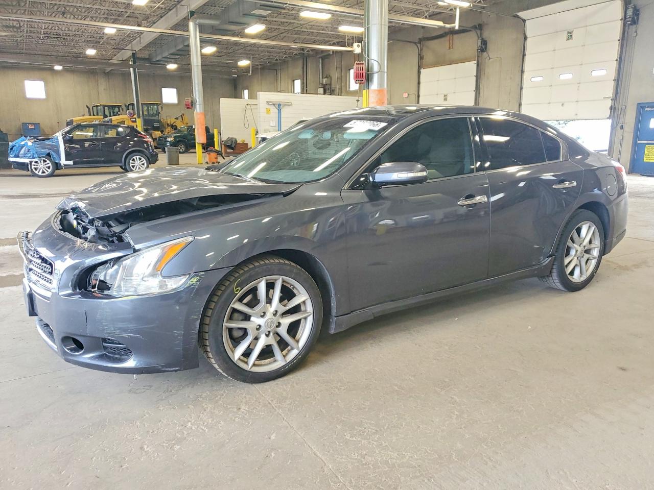 2009 Nissan Maxima 3.5 S Gray vin: 1N4AA51E09C856635