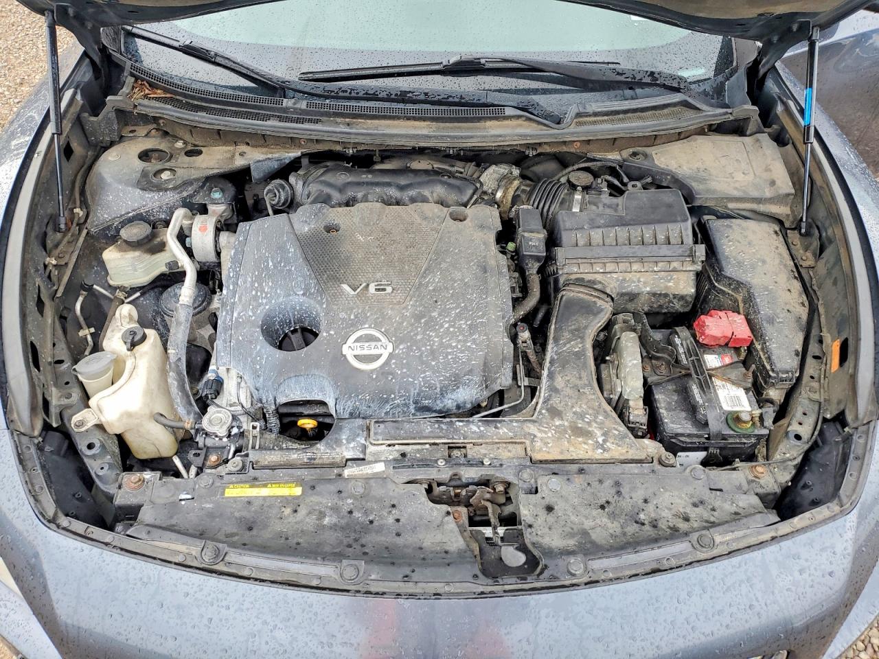 2009 Nissan Maxima 3.5 S Gray vin: 1N4AA51E19C824406