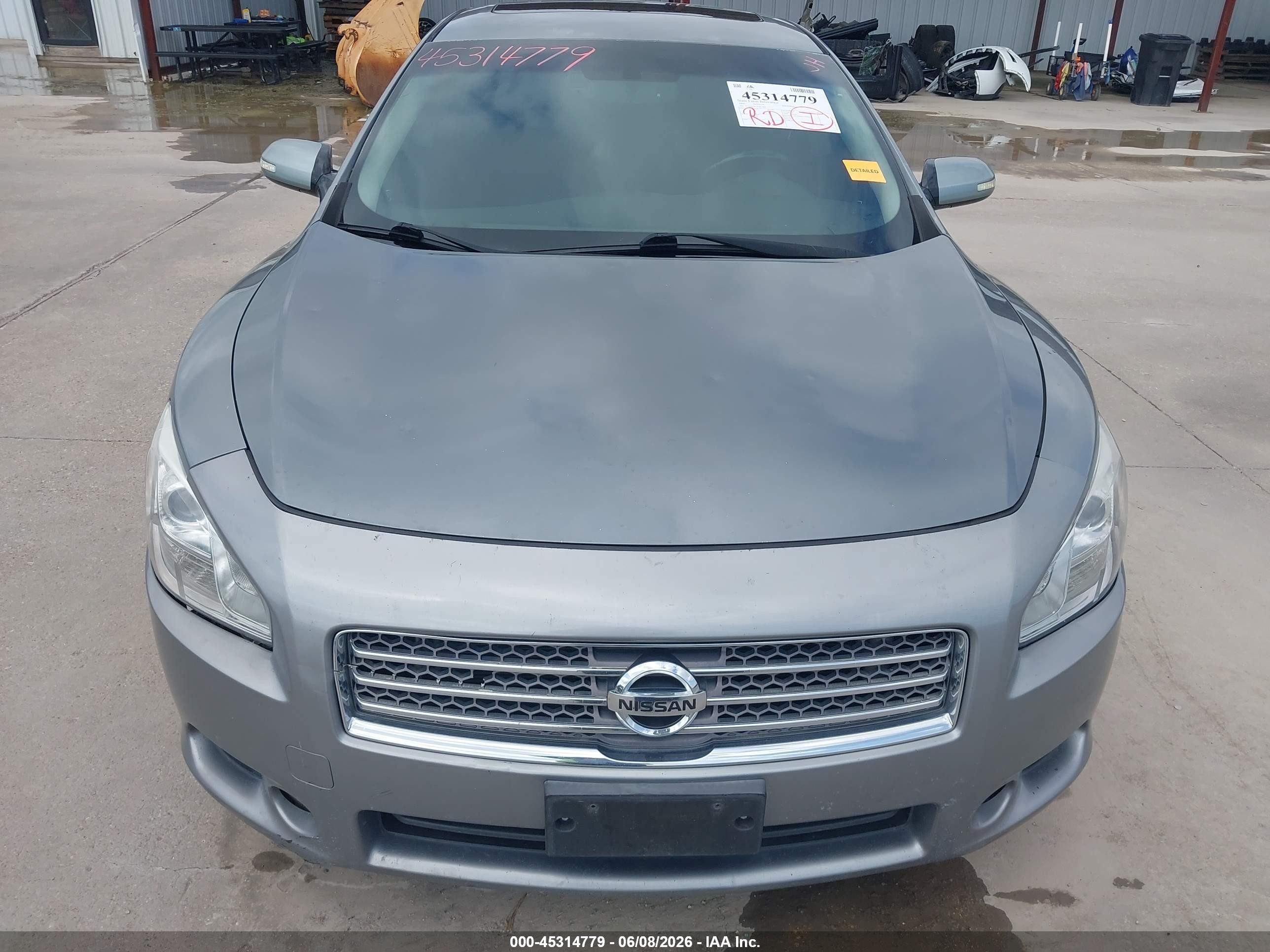 2009 Nissan Maxima 3.5 Sv Gray vin: 1N4AA51E19C831467