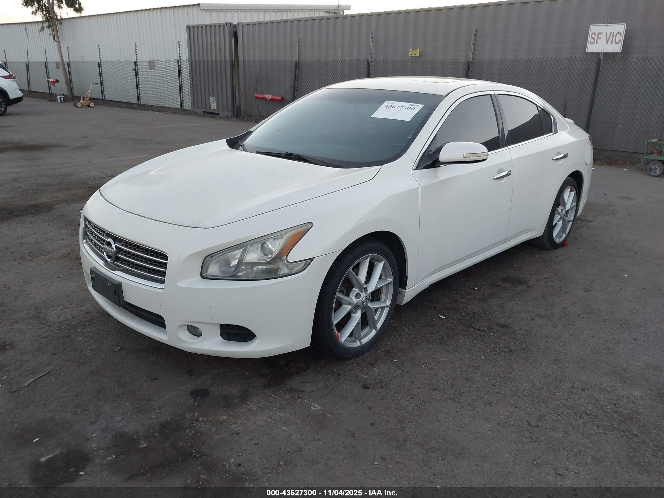 2009 Nissan Maxima 3.5 Sv White vin: 1N4AA51E19C844087