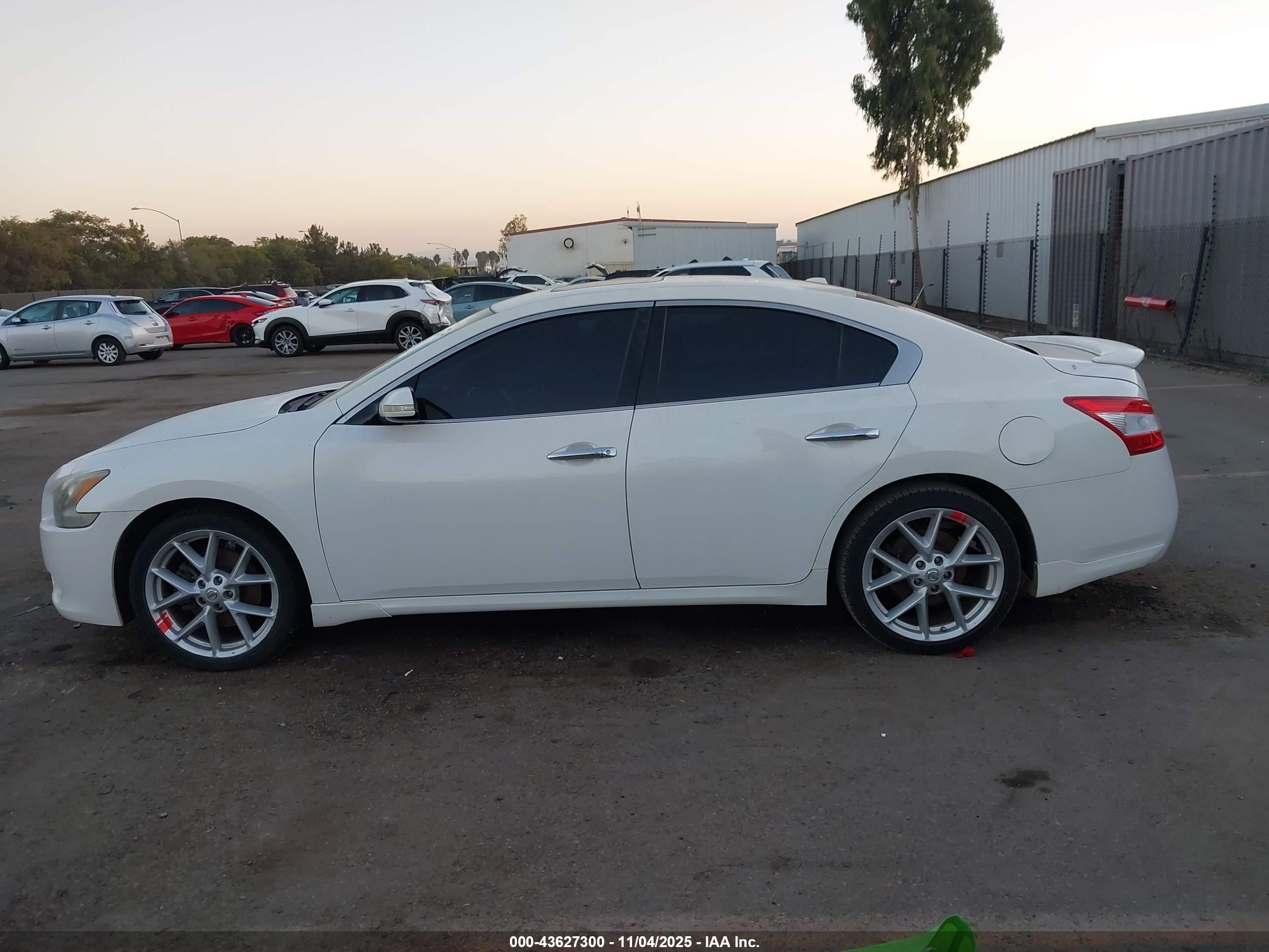 2009 Nissan Maxima 3.5 Sv White vin: 1N4AA51E19C844087