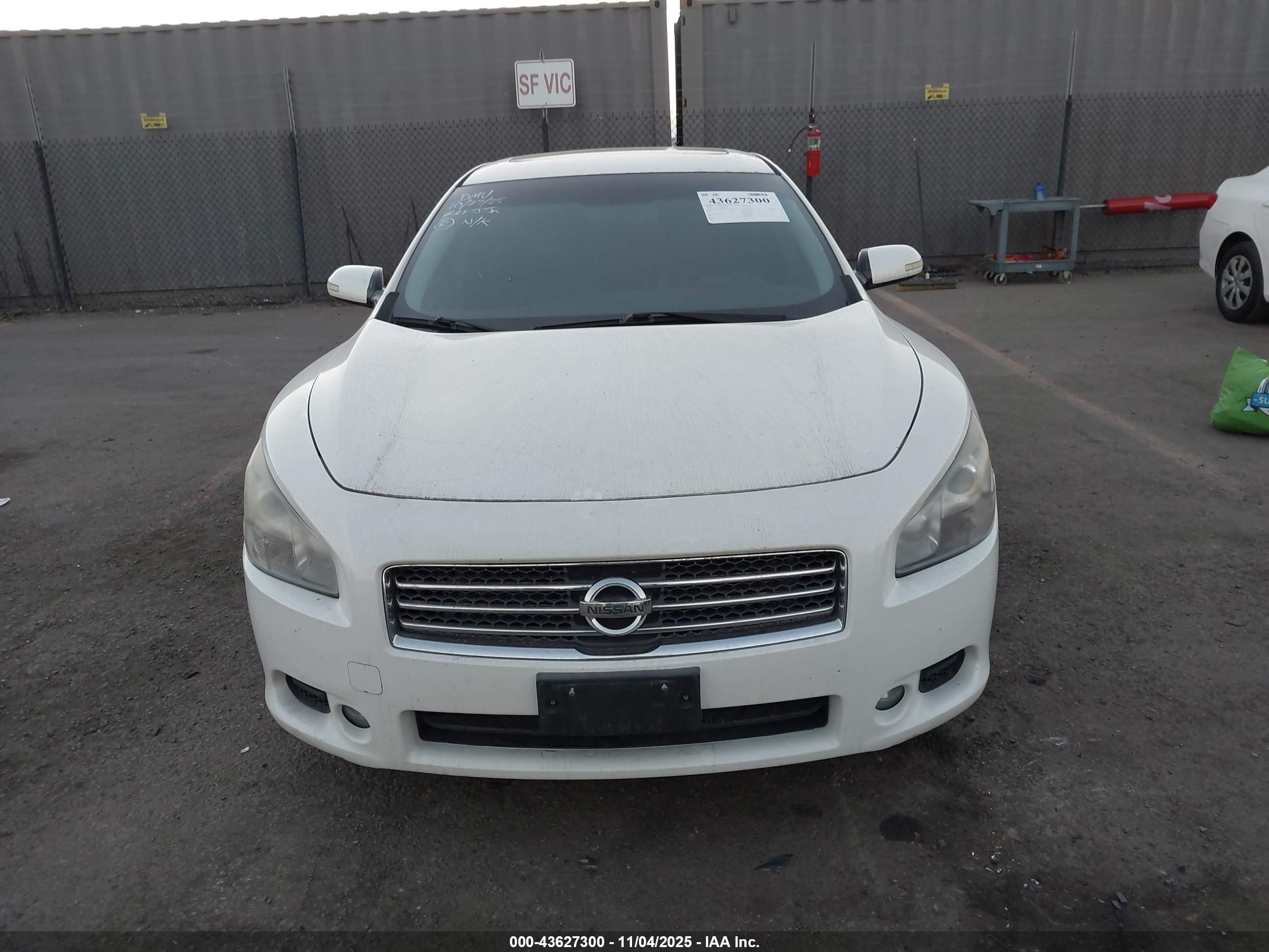 2009 Nissan Maxima 3.5 Sv White vin: 1N4AA51E19C844087
