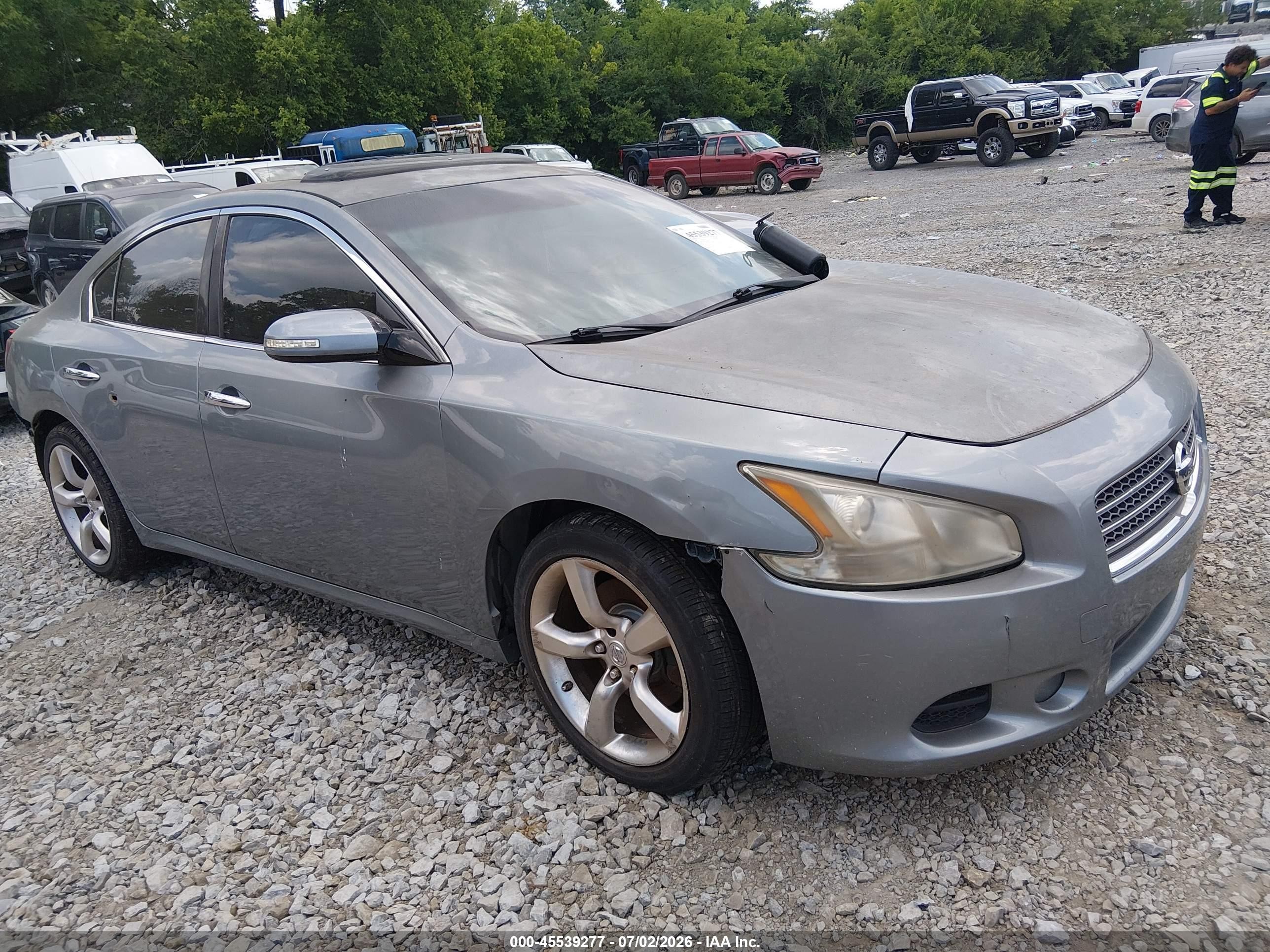2009 Nissan Maxima 3.5 Sv Silver vin: 1N4AA51E29C814449