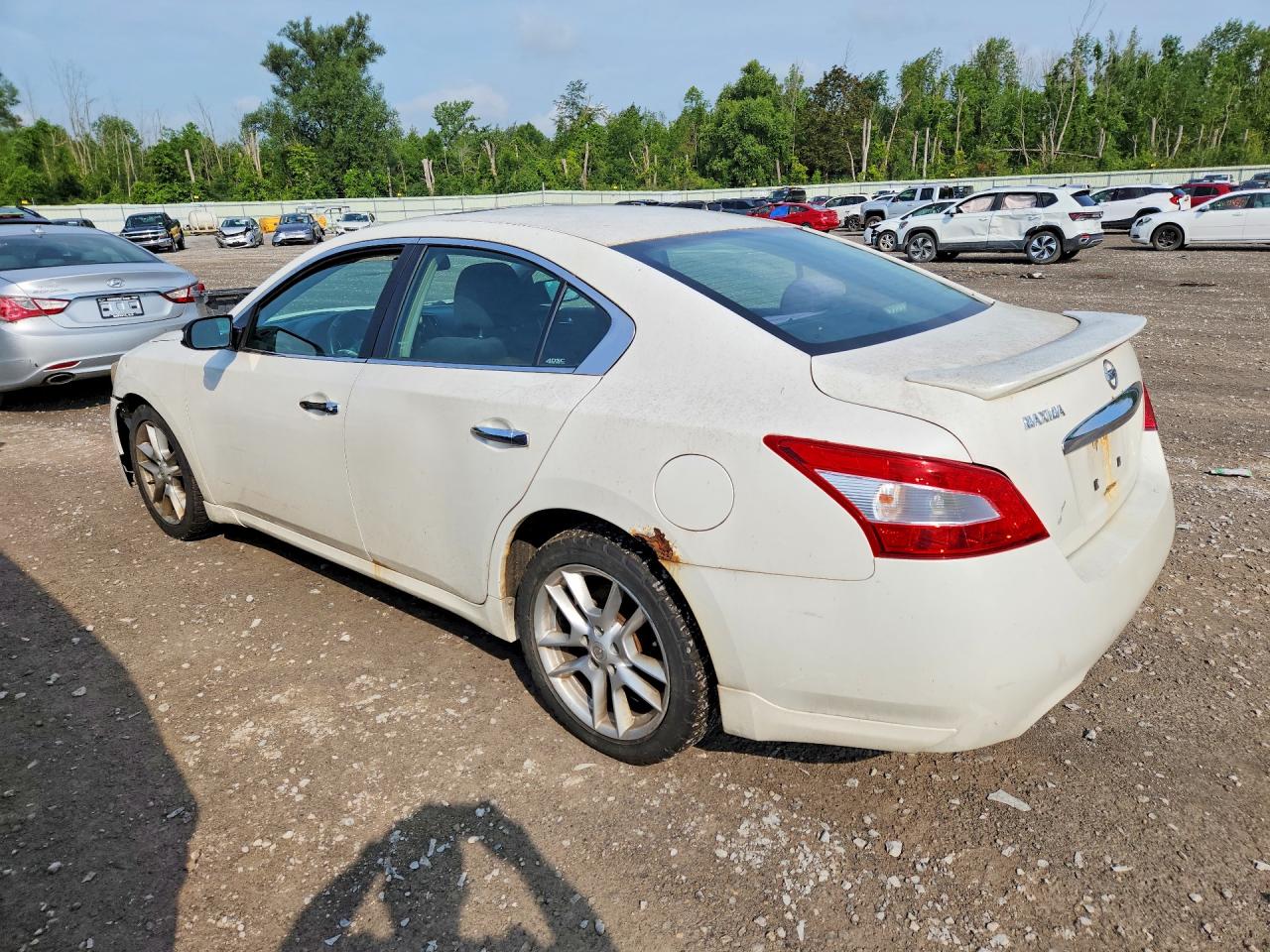 2009 Nissan Maxima 3.5 S White vin: 1N4AA51E29C829954