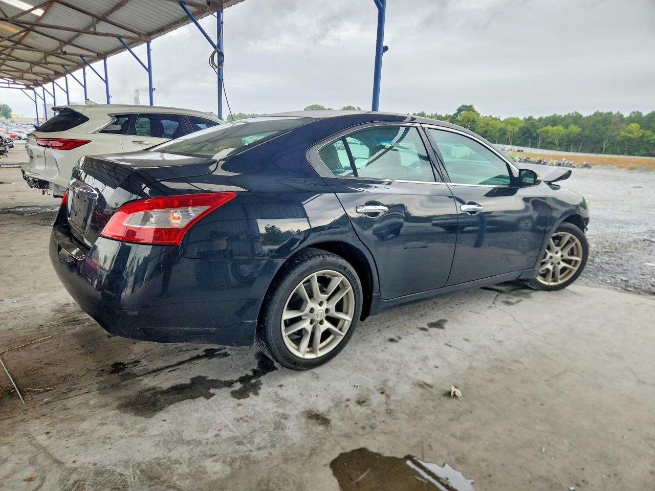 2009 Nissan Maxima 3.5 S Black vin: 1N4AA51E29C834619