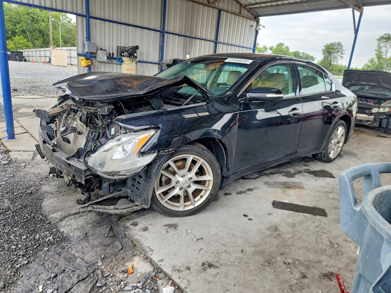 2009 Nissan Maxima 3.5 S Black vin: 1N4AA51E29C834619