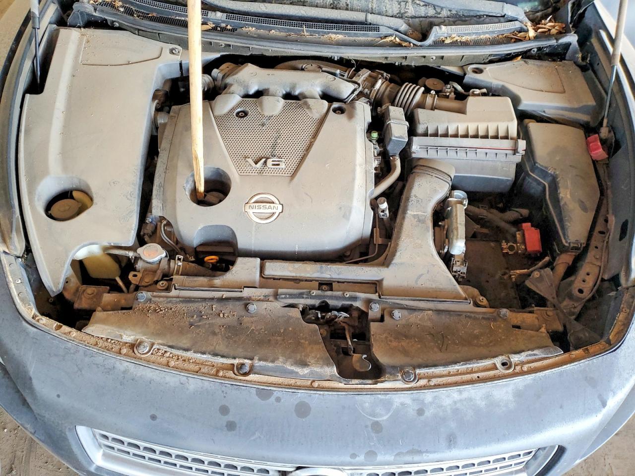 2009 Nissan Maxima 3.5 S Blue vin: 1N4AA51E39C803511